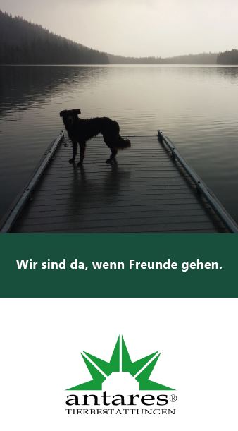 antares Flyer | Antares Tierbestattung