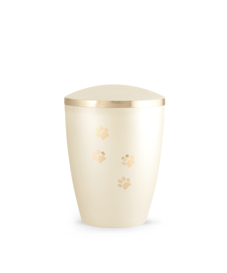 Edition Elegance