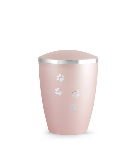 Edition Elegance