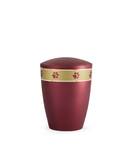 Edition Elegance
