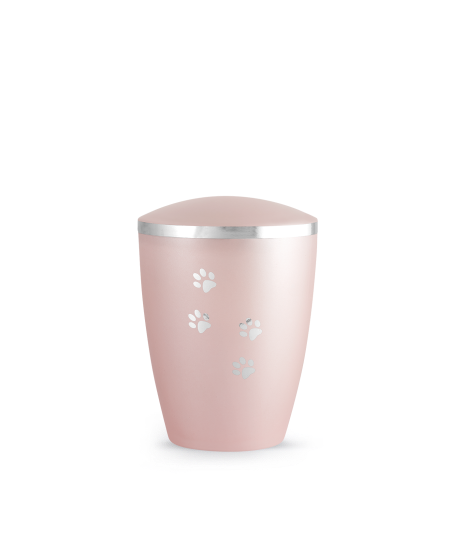 Edition Elegance