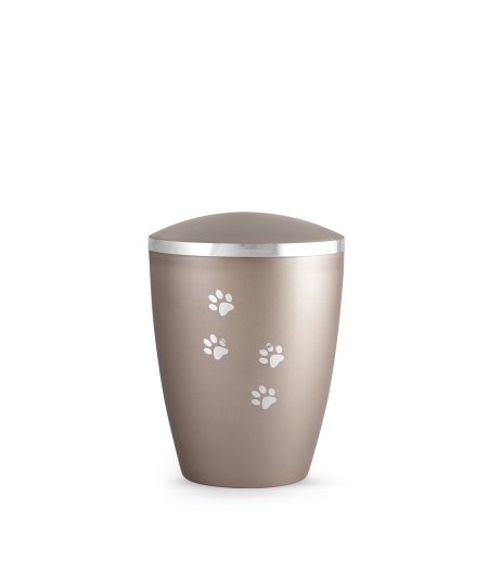 Edition Elegance