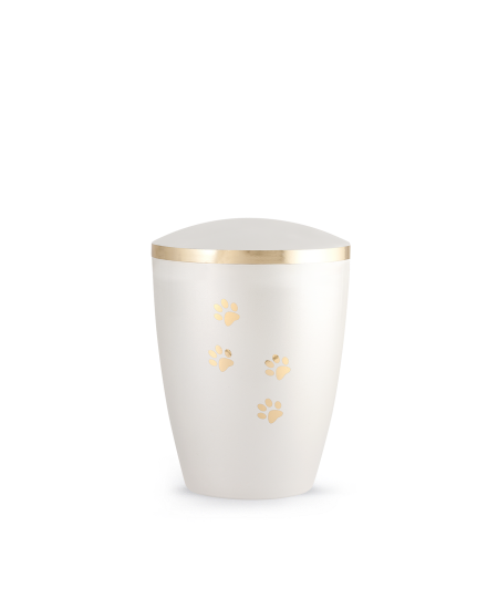 Edition Elegance
