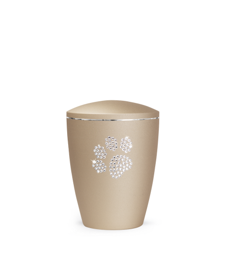 Edition Elegance