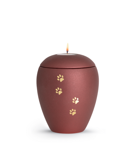 Keramikurne Edition Verona Sparkling Star und 4 Pfoten mit Gedenklichteinsatz