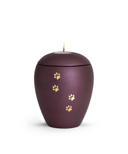 Keramikurne Edition Verona Sparkling Star und 4 Pfoten mit Gedenklichteinsatz