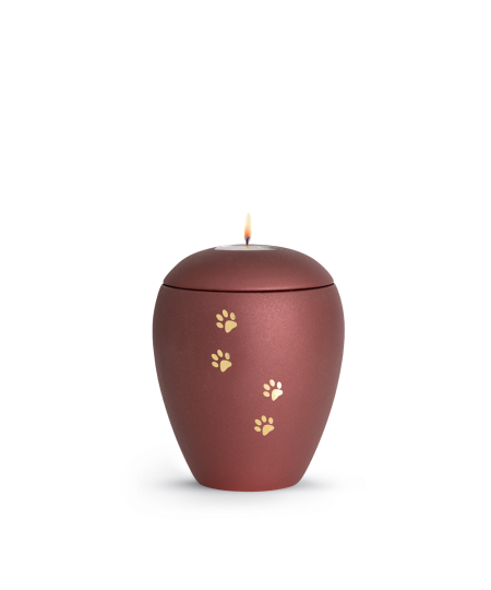 Keramikurne Edition Verona Sparkling Star und 4 Pfoten mit Gedenklichteinsatz