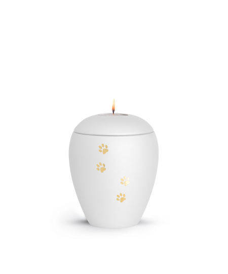 Keramikurne Edition Verona Sparkling Star und 4 Pfoten mit Gedenklichteinsatz