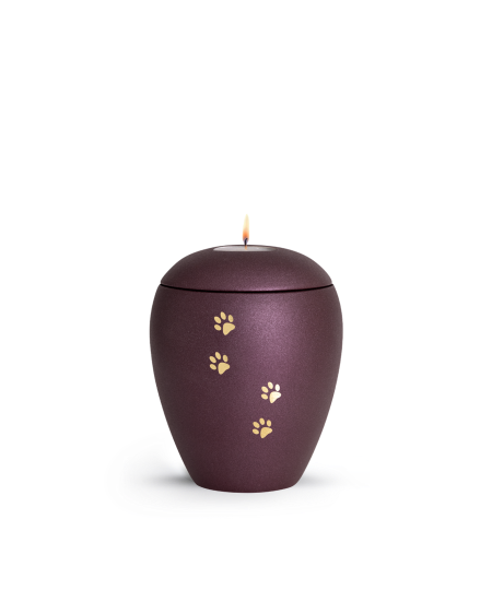 Keramikurne Edition Verona Sparkling Star und 4 Pfoten mit Gedenklichteinsatz