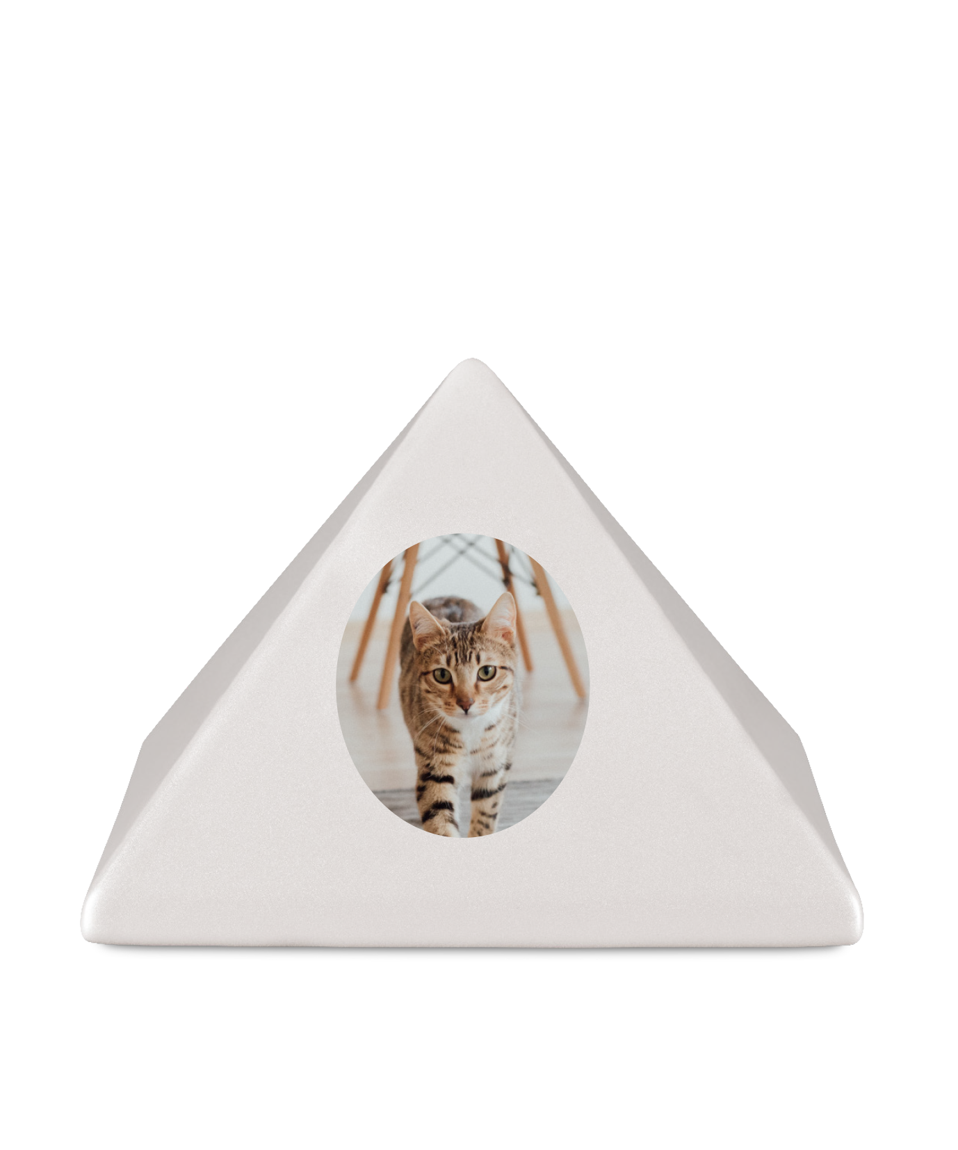 Bild oval
